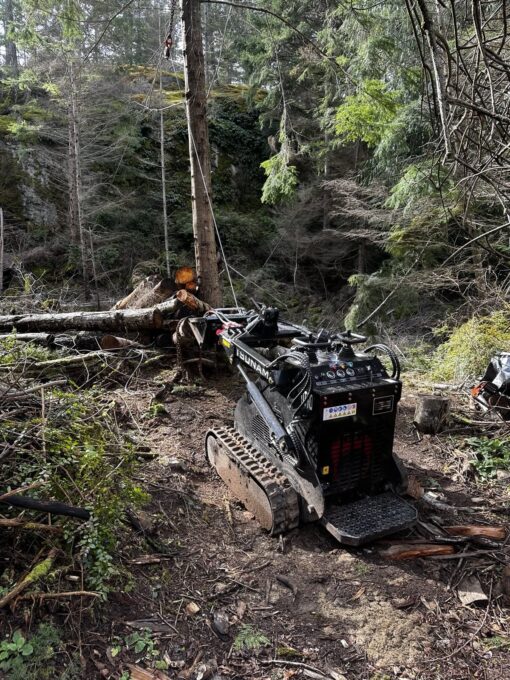 Skid Steer Utility Loader Winch