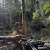 Skid Steer Utility Loader Winch