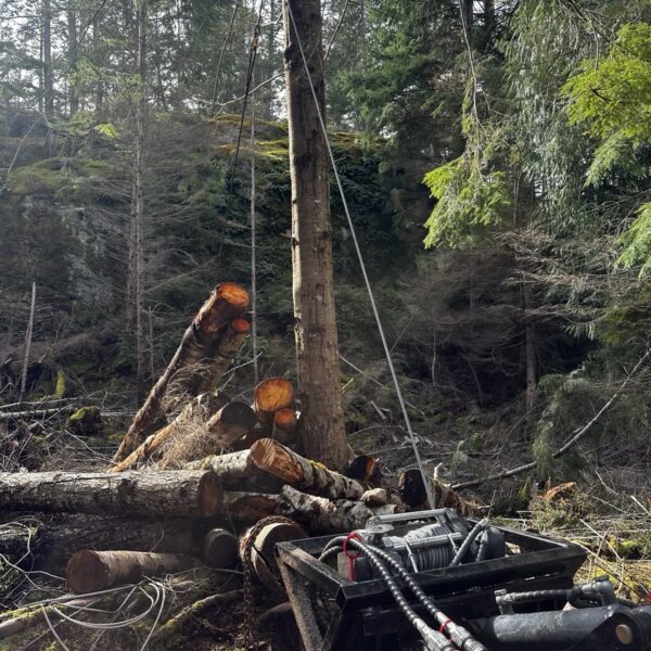 Skid Steer Utility Loader Winch